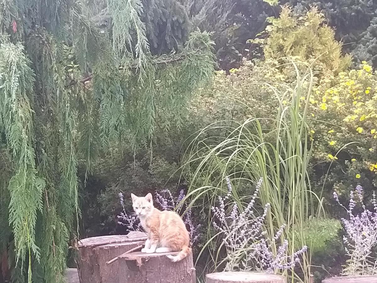 Domek Na Skraju Wsi Dostep Do Jeziora Ublik Villa Konopki Wielkie Buitenkant foto