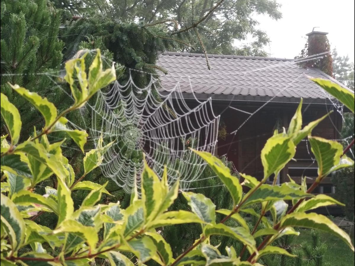 Domek Na Skraju Wsi Dostep Do Jeziora Ublik Villa Konopki Wielkie Buitenkant foto