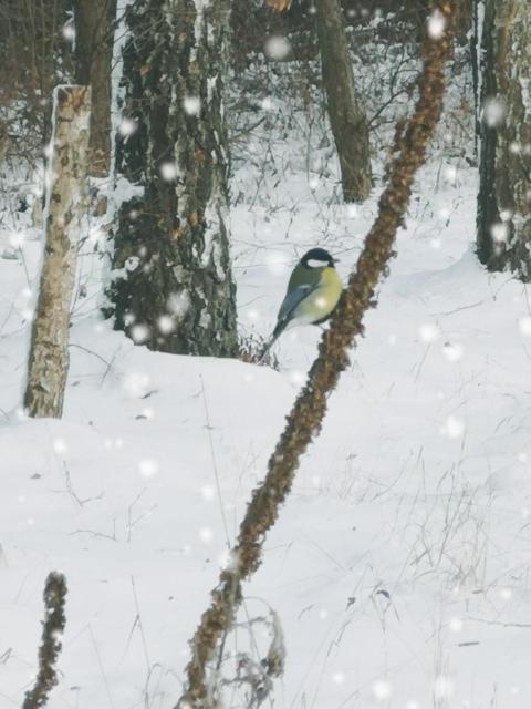 Domek Na Skraju Wsi Dostep Do Jeziora Ublik Villa Konopki Wielkie Buitenkant foto