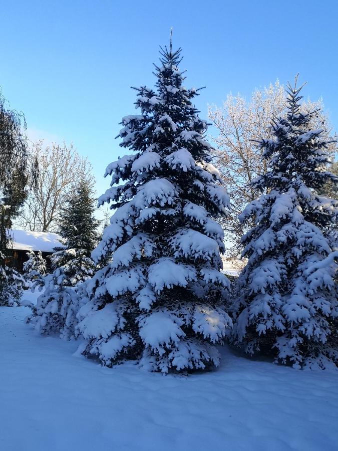 Domek Na Skraju Wsi Dostep Do Jeziora Ublik Villa Konopki Wielkie Buitenkant foto