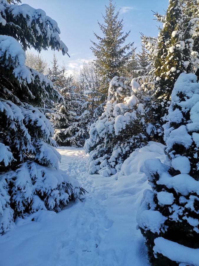 Domek Na Skraju Wsi Dostep Do Jeziora Ublik Villa Konopki Wielkie Buitenkant foto