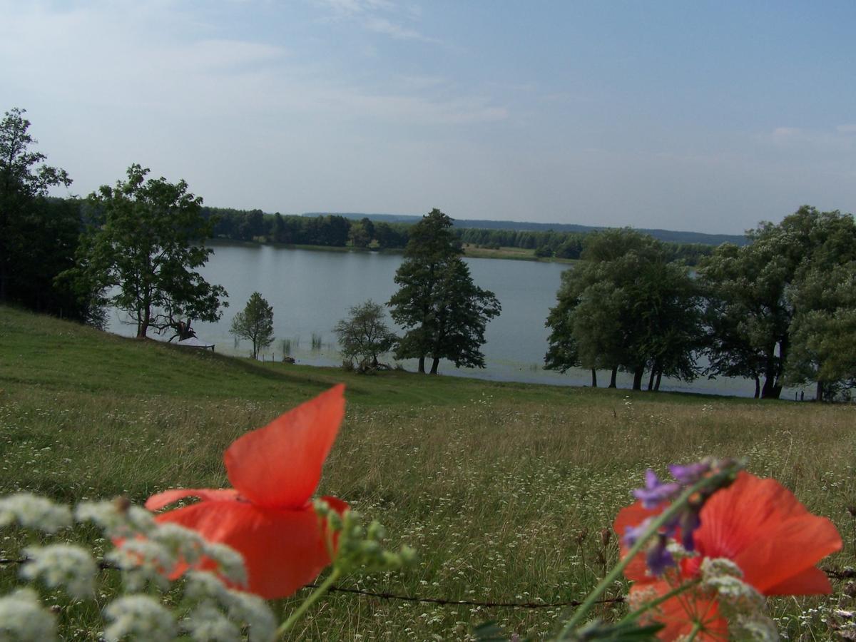 Domek Na Skraju Wsi Dostep Do Jeziora Ublik Villa Konopki Wielkie Buitenkant foto